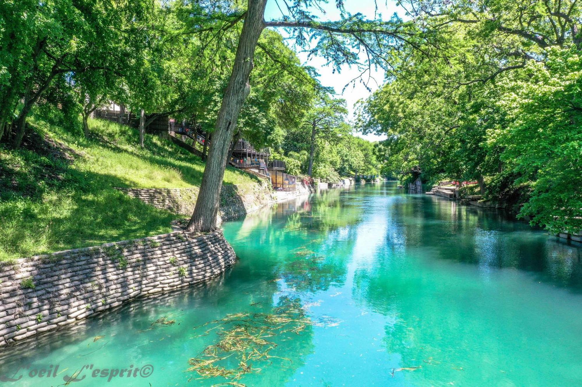 The Iron Cactus Condo On The Comal Cw C102 New Braunfels Exteriör bild